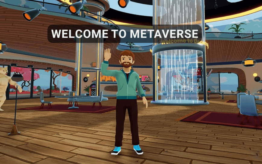 People who live in the Metaverse