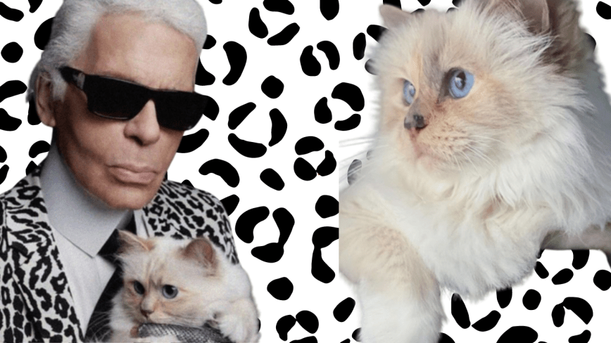 Choupette Lagerfeld will attend the met Gala